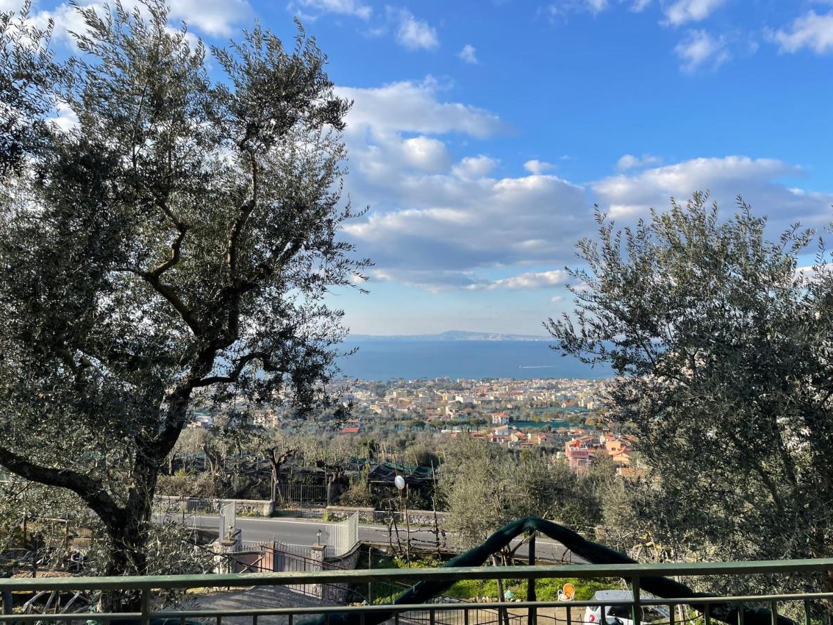 Sky View Villa ピアーノ・ディ・ソッレント エクステリア 写真
