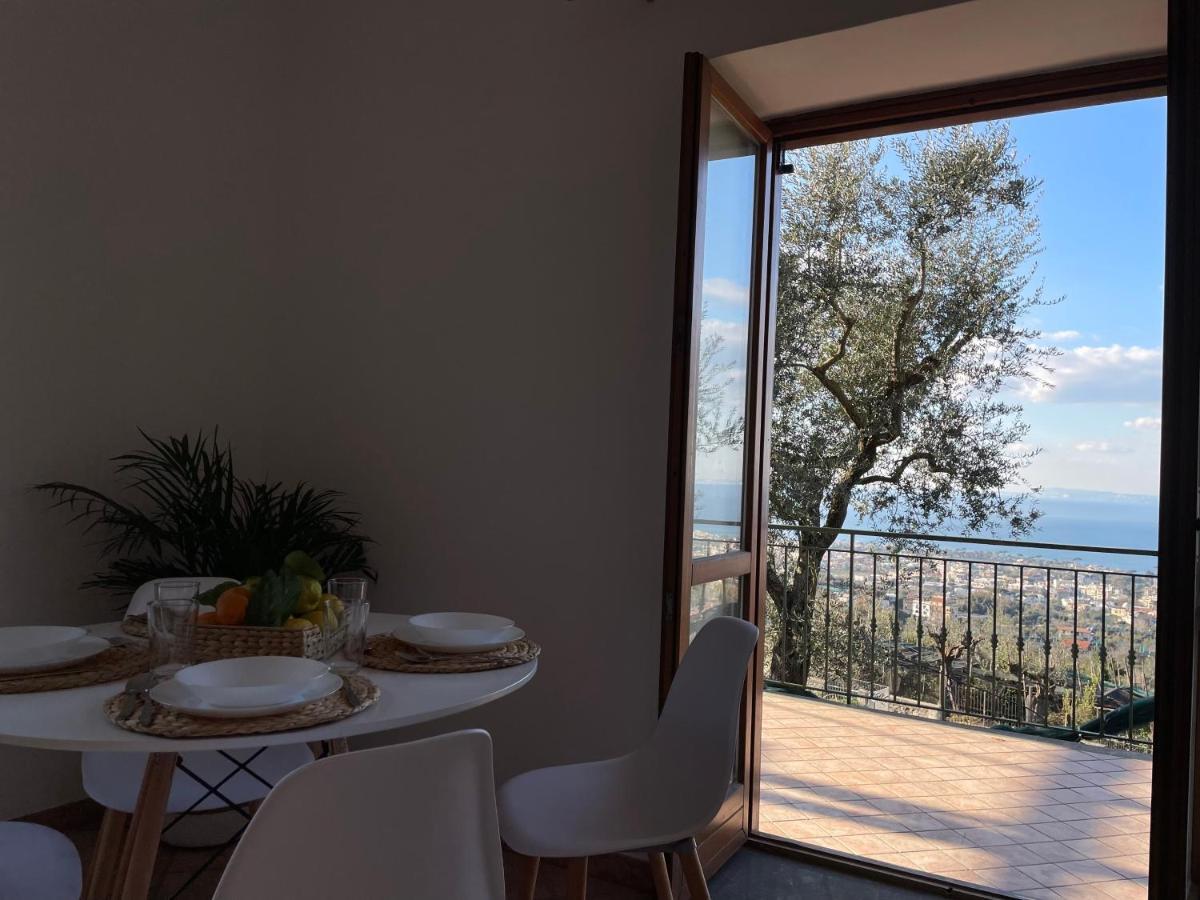Sky View Villa ピアーノ・ディ・ソッレント エクステリア 写真