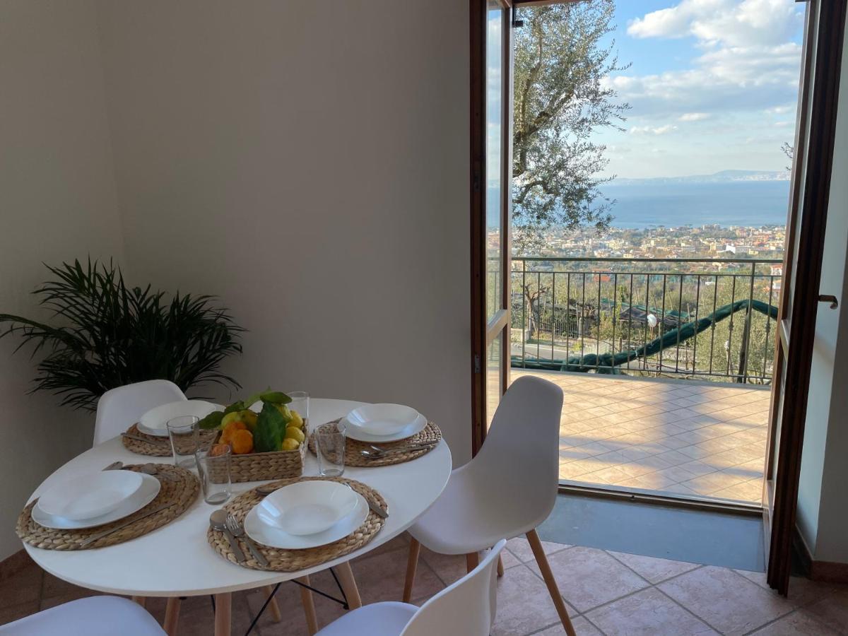 Sky View Villa ピアーノ・ディ・ソッレント エクステリア 写真