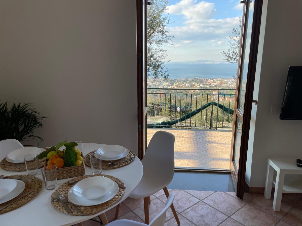 Sky View Villa ピアーノ・ディ・ソッレント エクステリア 写真