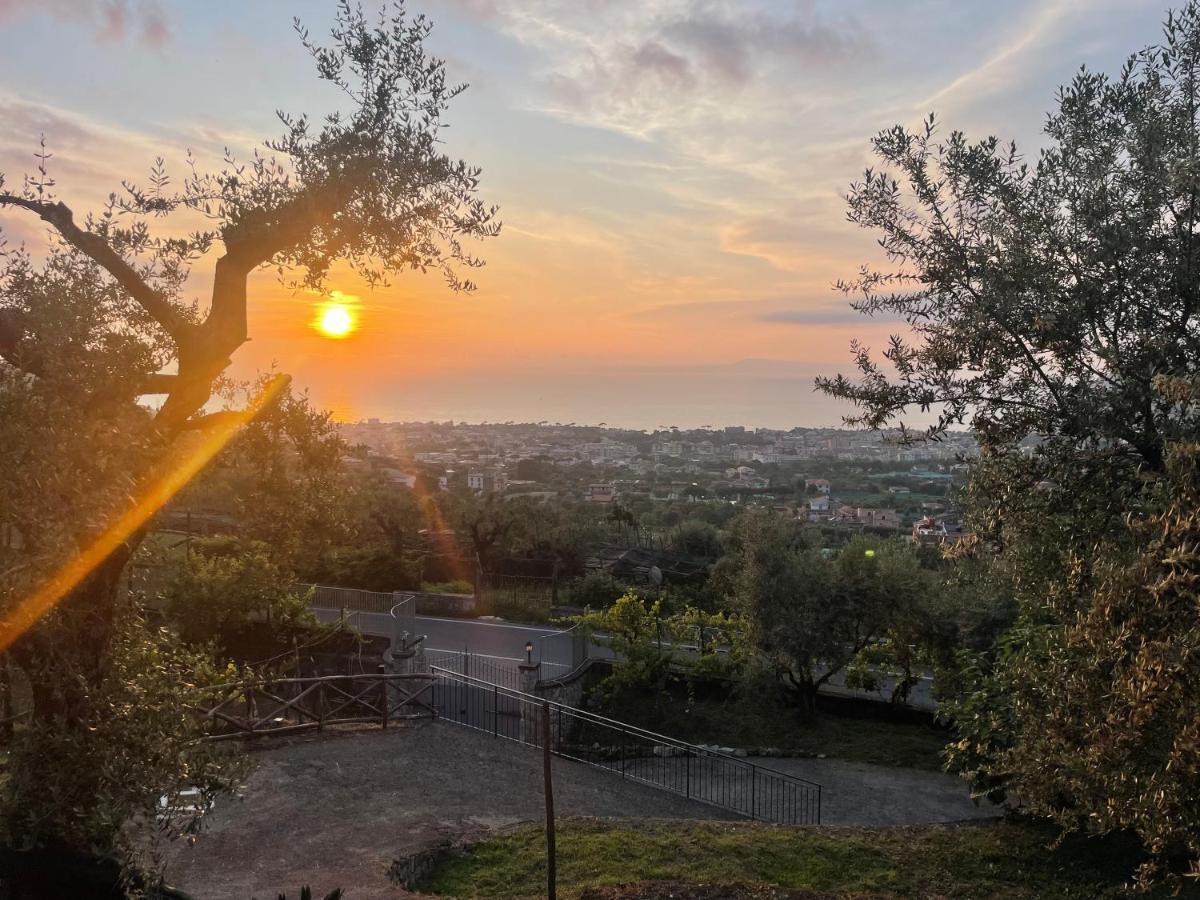 Sky View Villa ピアーノ・ディ・ソッレント エクステリア 写真